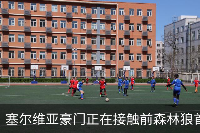 塞尔维亚豪门正在接触前森林狼首轮秀，他是时候去海外联赛发展了