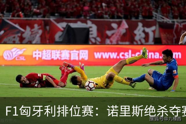 F1匈牙利排位赛：诺里斯绝杀夺赛季正赛首杆，汉密尔顿第二